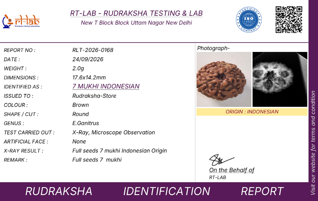 Official RT-Lab Certificate Sample